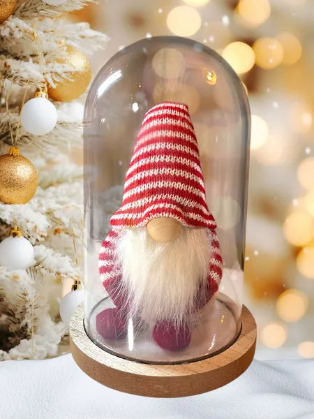 Gnome et Ours Noël sous cloche
